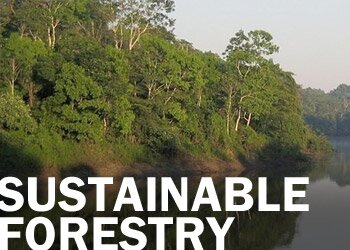Sustainable Forestry